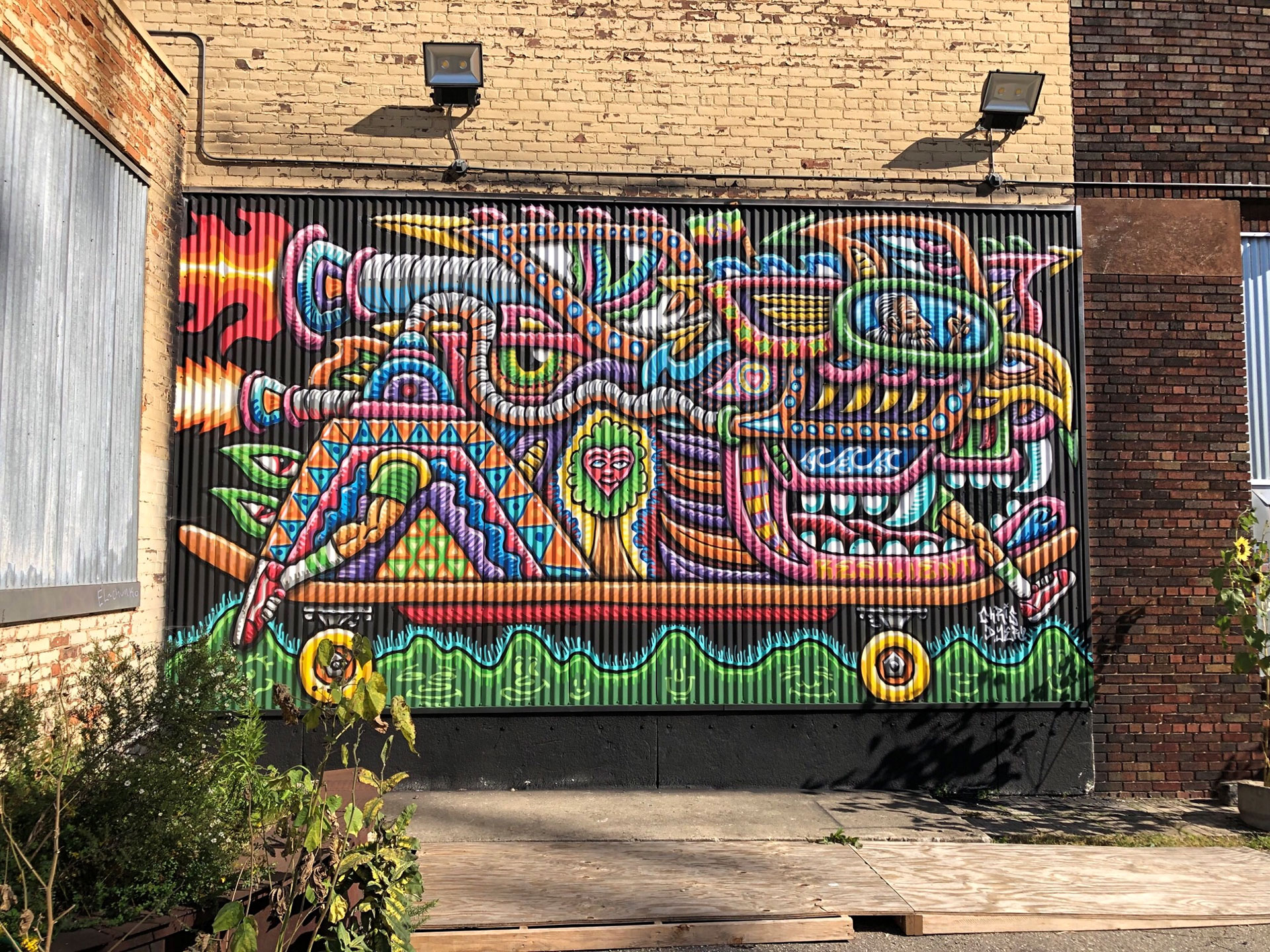 Chris Dye - Partnership with Electrifly co.