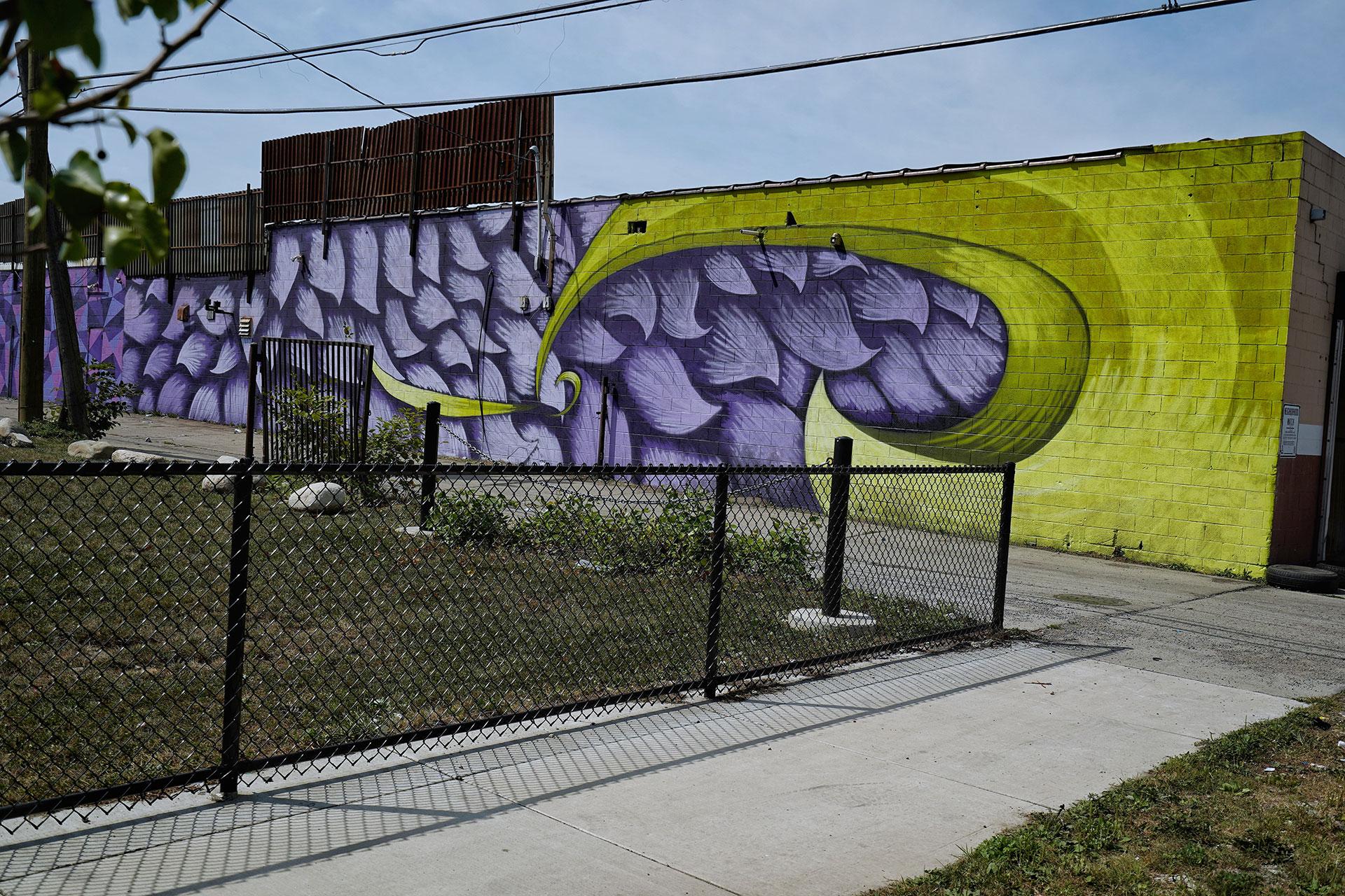 Lindy Shewbridge - Doan Park