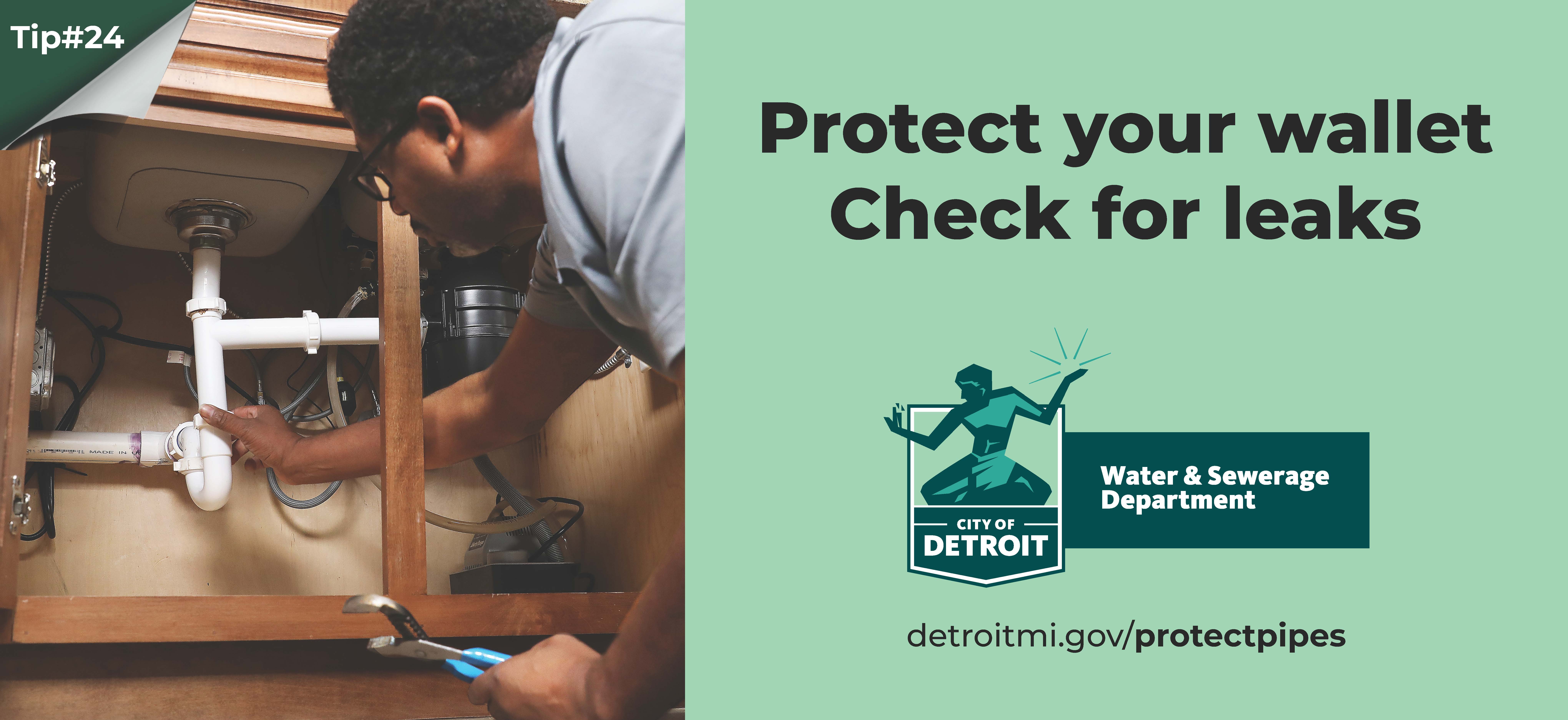 Protect your wallet check for leaks