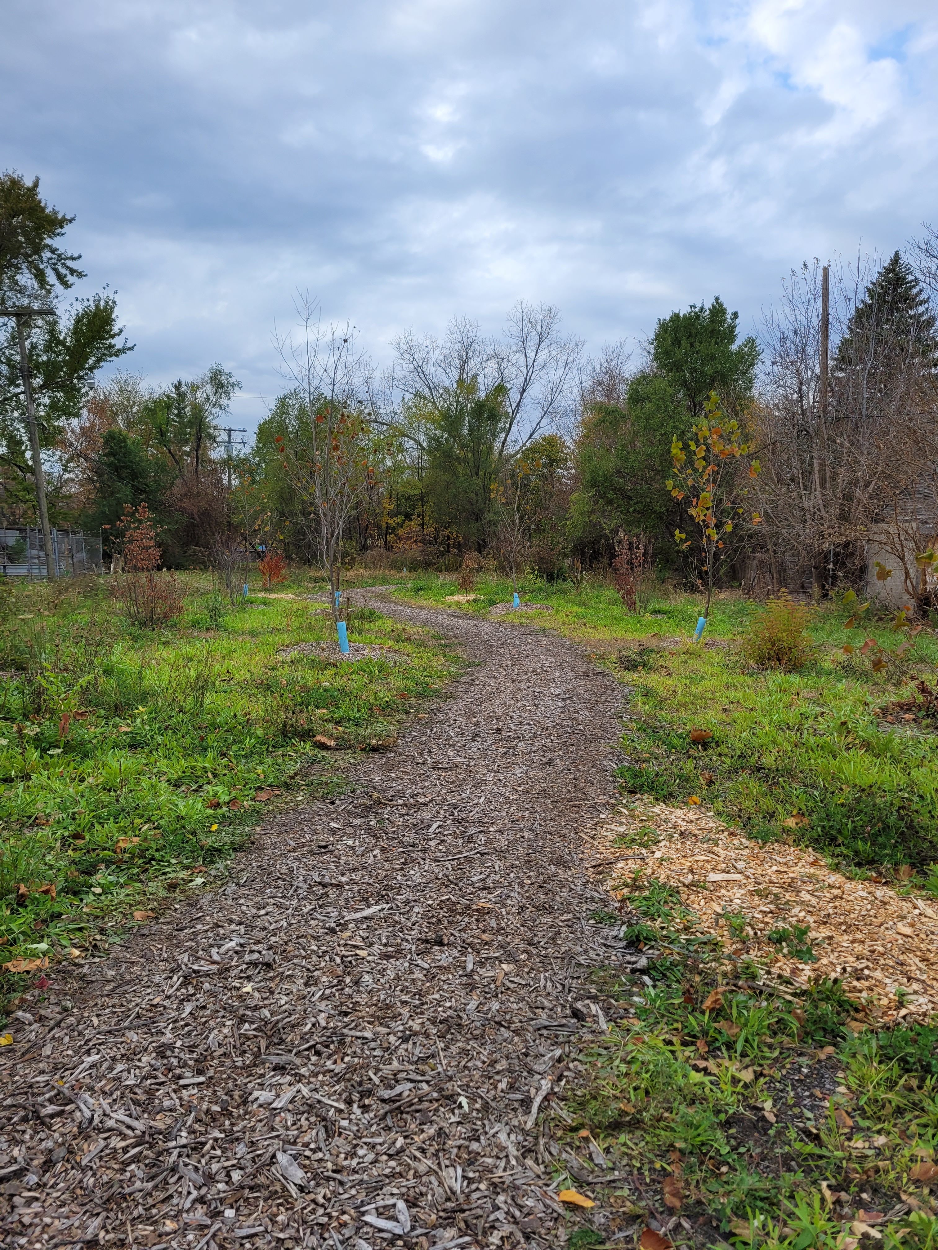 Arboretum Detroit Oxygen Alley