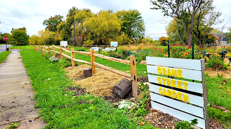 Neighborhood Beautification