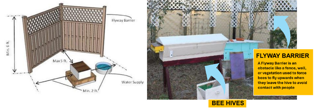 Flyway Barrier Example