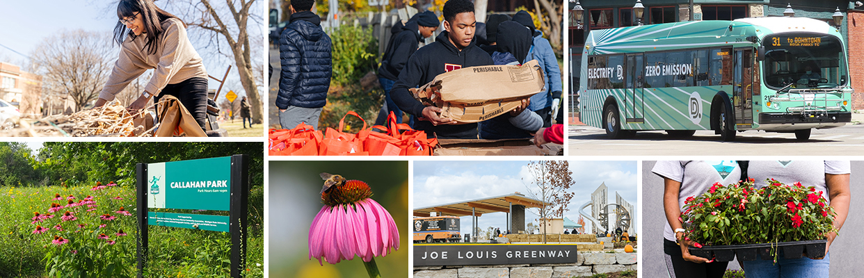 Sustainability Collage