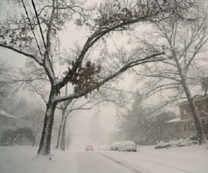 Winter Weather Preparedness Guide