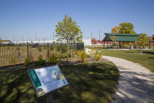 Neighborhood Beautification Program Winners pic4